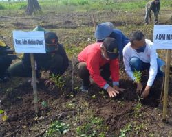 Tanam 6600 Kayu Putih, Ini Harapan Perhutani KPH Madiun