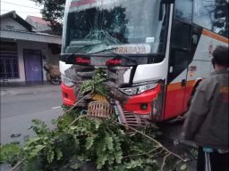 Hindari Ranting Pohon, Pemotor di Kediri Tewas Ditabrak Bus