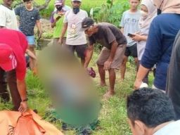 Seorang Pria Ditemukan Tewas di Tengah Sawah Milik Warga Menganti