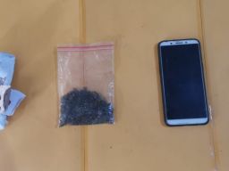 Miliki Narkoba, Seorang Penjual Jamu di Ngawi Diringkus Polisi