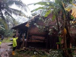 Akibat Hujan Deras, Pohon Tumbang di Trenggalek Timpa Rumah Warga