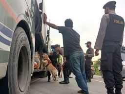 Gunakan Narkoba, Sopir dan Kernet Bus Antar Provinsi Diamankan Polda Jambi