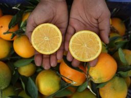 5 Perawatan Kulit yang Akan Menjadi Tren Tahun 2022