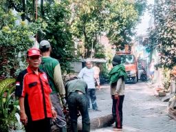 Relawan Komen ER -JI dan GAS, Giat Perampingan Pohon