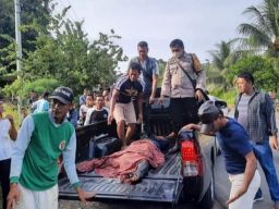 Laka Motor PNS dan Daihatsu Grand Max di Jalinsum, 1 Korban Tewas di Tempat