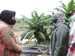 Kunjungi Korban Banjir Bogor, Risma Usul Tak Bangun Tanggul Permanen