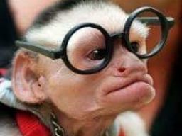 Tips Menghadapi Orang Cerdas Agar Tidak Minder