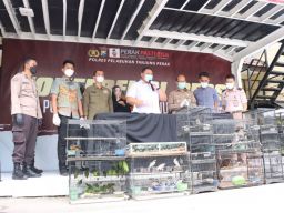 Bisnis Satwa Dilindungi, Dua Pelaku Ditangkap Polisi