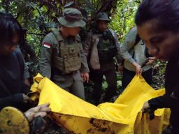 Tindakan Tegas Terukur, Satgas Madago Raya Tindak Tegas 1 Teroris MIT