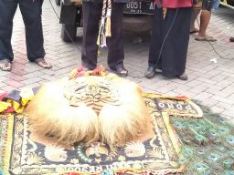 Demi Kepastian Reog Ponorogo, Pelaku Seni Reog Unjuk Kebolehan
