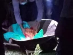 Kasihan! Mayat Bayi di Toraja Ditemukan dengan Tubuh Cerai Berai