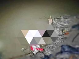 Warga Heboh! Bayi Mungil Ditemukan Tewas di Tepi Bengawan Solo