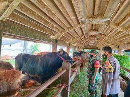 Cegah PMK Pengawasan Diperketat Dalam Rangka Pencegahan Masuknya Virus Mulut dan Kaki