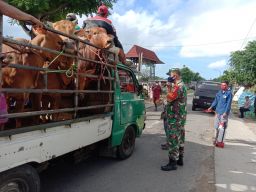 Cegah Penyebaran PMK Babinsa Bersama Babinkamtibmas Sinergi Cek Pasar Hewan
