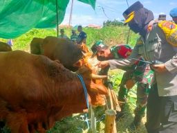 Bersama Empat Pilar Babinsa Sememi Lakukan Pengecekan Hewan Qurban