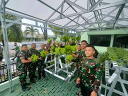 Kasrem 084, Ajak Personilnya Panen Sayur Hasil Budidaya dengan Sistem Akuaponik
