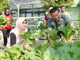 Brigjen TNI Terry Tresna Purnama dan Ketua Persit KCK Koorcab Rem 084 Panen Sayuran