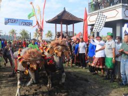 Lomba Mekepung Bupati Cup 2022, Upaya Pelestarian Tradisi Lokal