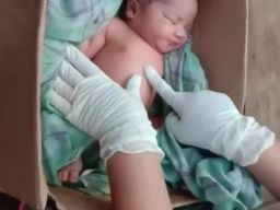 Tega! Bayi Mungil Ditemukan Terbungkus Kardus di Desa Badrain, Warga Geger