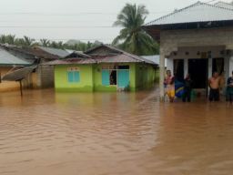 Banjir di Pohuwato, Gorontalo, Rendam 40 Rumah dan 4,5 Ha Lahan Pertanian