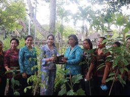 Ny. Candrawati Tamba Serahkan Bantuan Bibit untuk Dukung Ketahanan Pangan