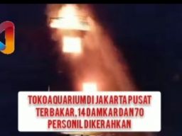 Toko Aquarium di Jakarta Pusat Terbakar, 14 Damkar dan 70 Personil Dikerahkan
