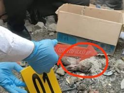 Tega, Sesosok Bayi Ditemukan Terbakar dan Tewas di Sekitar Makassar Mall