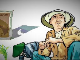 Pupuk Langka, Poktan dan Warga Karang Penang Oloh Ancam Demo Dinas Pertanian