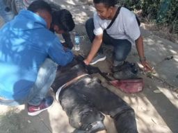 Hati-hati di Jalan, Terjadi Laka di Jalan Raya Rengas, jalur Pantura