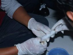 Selundupkan Narkoba ke Lapas Pemuda Madiun, Barang Ditaruh di Anus