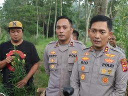 Geger! Warga Kampung Kelepu Garut Tanam 167 Batang Pohon Ganja