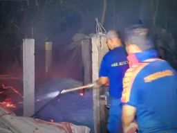 Terjadi Kebakaran Kandang Ayam di Gunungkidul, Kerugian Capai 1,6 Milyar