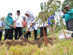 Konservasi Hulu, Ipuk Tanam 32.000 Pohon di Selingkar Gunung Raung dan Ijen