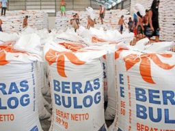 Penuhi Cadangan Pangan, Pemerintah Berencana Impor 1 Juta Ton Beras dari India