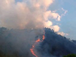 Kebakaran Lahan dan Hutan Kembali Terjadi di Dairi, Provinsi Sumatera Utara