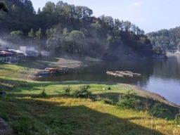 Di Telaga Ngebel Ngawi Kini Banyak Bermunculan Monyet Ekor Panjang