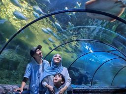 Taman Impian Jaya Ancol Setor Dividen Rp 350 M ke PT Pembangunan Jaya Ancol