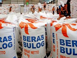 Ditengah Kekhawatiran akan Stok Beras, Ternyata Indonesia Kelebihan 600.000 Ton