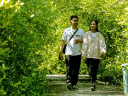 Eri Cahyadi Cek Kesiapan Kebun Raya Mangrove Gunung Anyar Sebelum Diresmikan