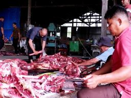 Hasil Lab Daging Kurban Kalilom Kurang Bersih dan Matang Maka Sebabkan Keracunan