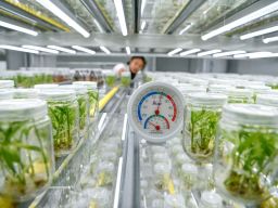 Apindo Beri Bocoran Apa Industri yang Legit dan Sedang Naik Daun