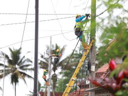 PLN Pulihkan 134 Gardu Listrik di Lumajang, Setelah Dilanda Banjir dan Longsor