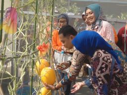 Eri Cahyadi Panen Golden Melon di Kelurahan Medokan Ayu Surabaya