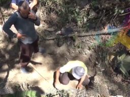Fosil Gajah Purba Berusia 800.000 Tahun Ditemukan di Hutan Tritik Nganjuk