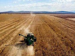 Inisiatif Perjanjian Laut Hitam Soal Pasokan Biji-bijian Menemukan Titik Terang