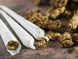 Polisi Ringkus Pelaku Penyelundupan Ganja dari Medan di Kendari