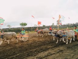 Mekepung Bupati Cup 2023 Pertama Kali Diselenggarakan di Sirkuit All in One