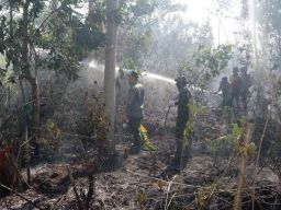 Kebakaran di Forest City Pemprov Kalsel, 170 Awak Damkar Dikerahkan ke Lokasi