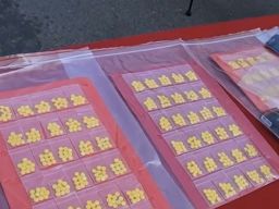 Pengedar Pil Koplo untuk Nelayan di Rembang Diringkus Polisi