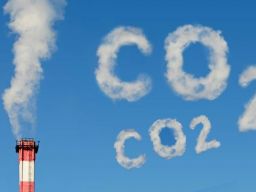 Jokowi Resmi Luncurkan Bursa Karbon Indonesia